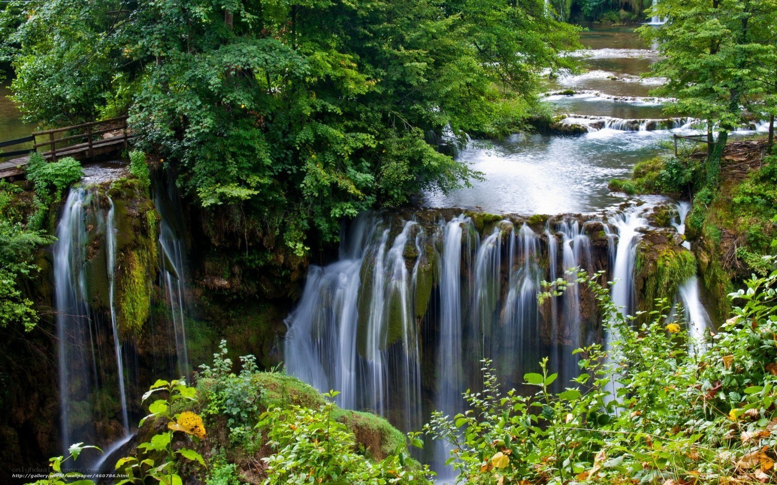 Waterfall in lush green forest