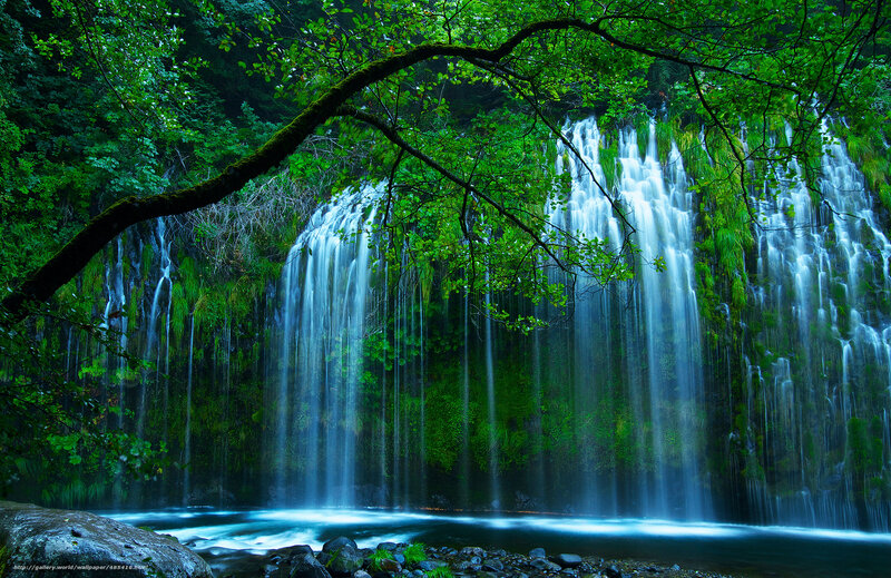 Waterfall in lush green forest