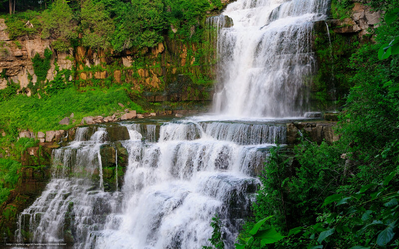 Waterfall in lush green forest
