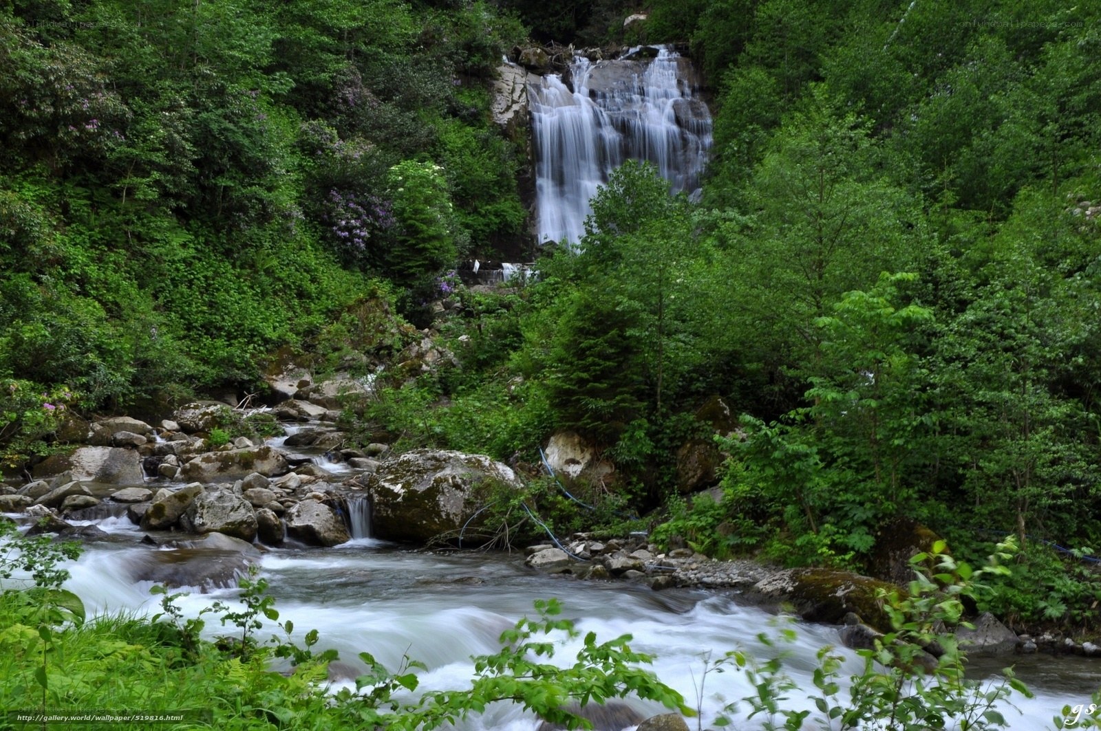 Waterfall in lush green forest