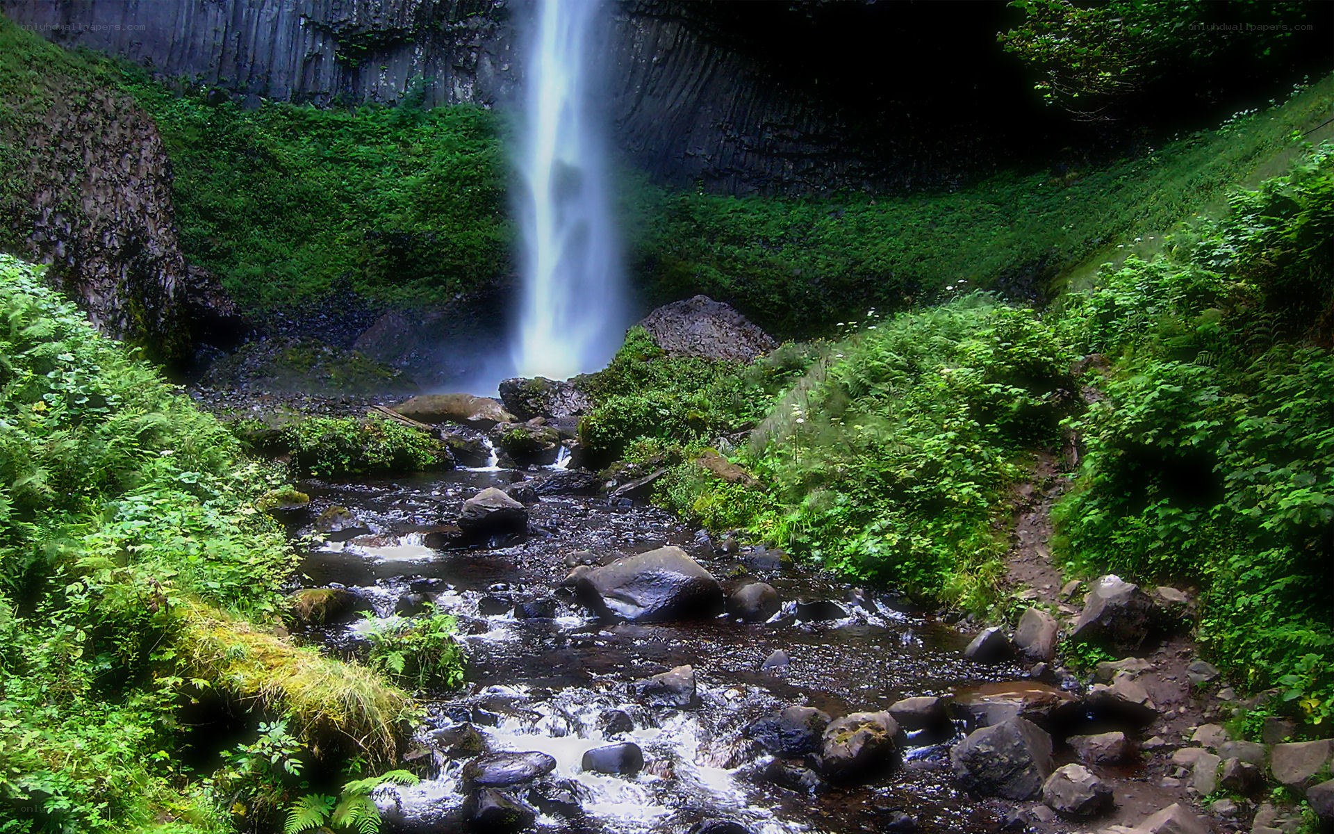 Waterfall in lush green forest
