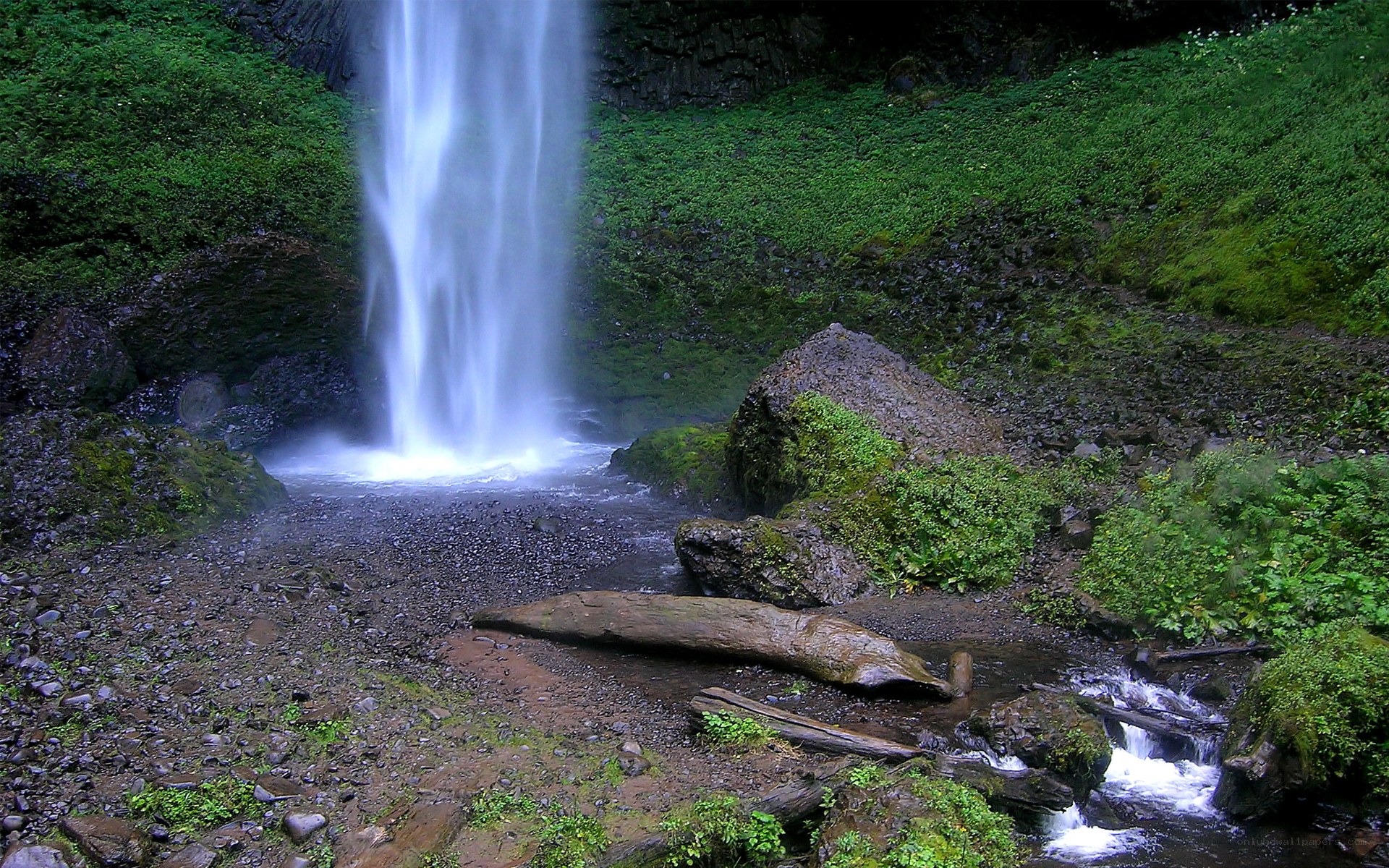Waterfall in lush green forest