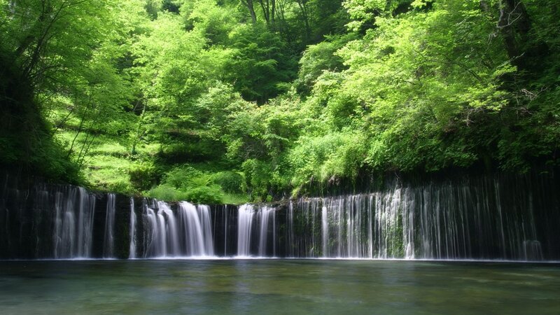 Waterfall in lush green forest