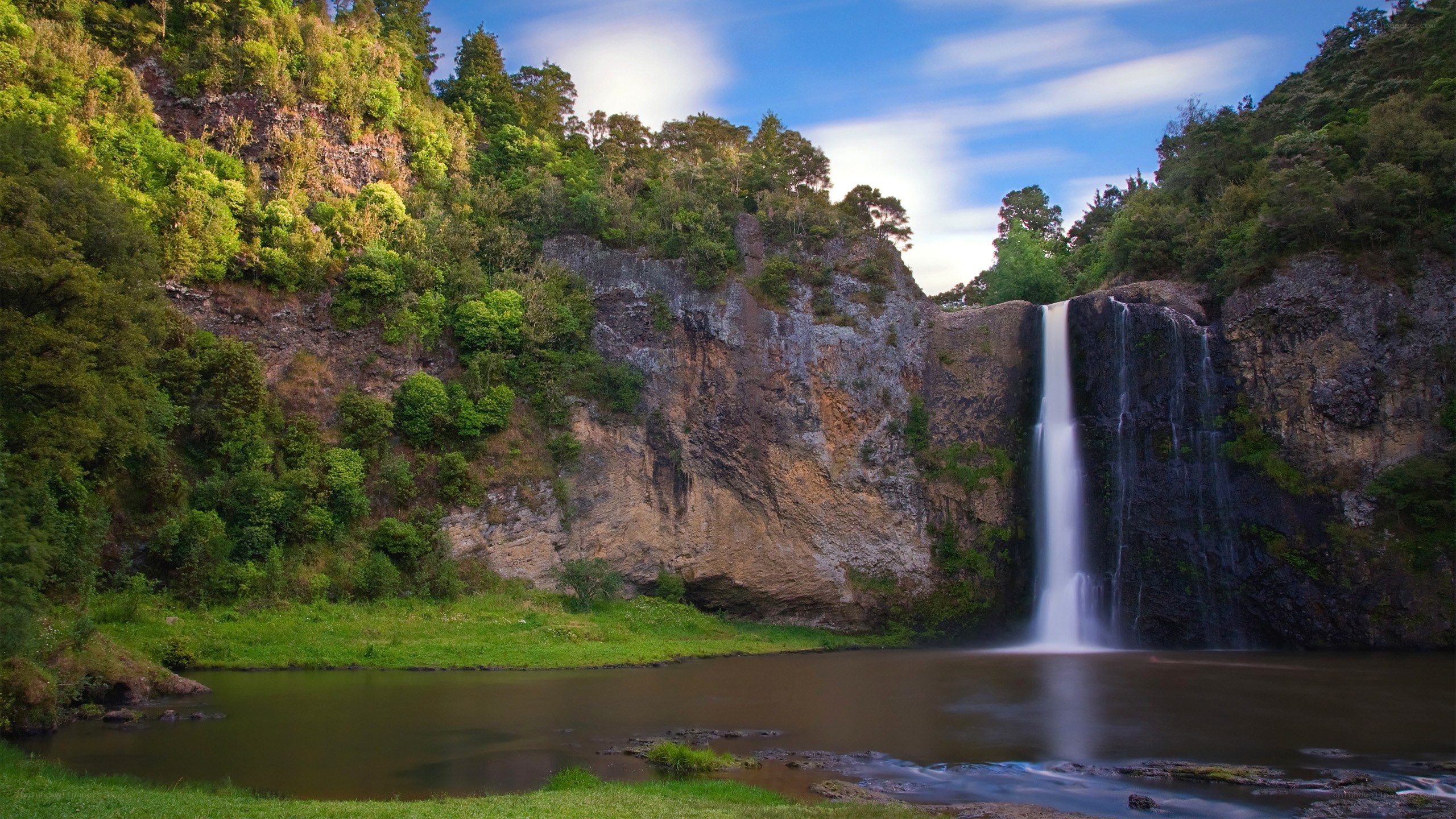Waterfall in lush green forest