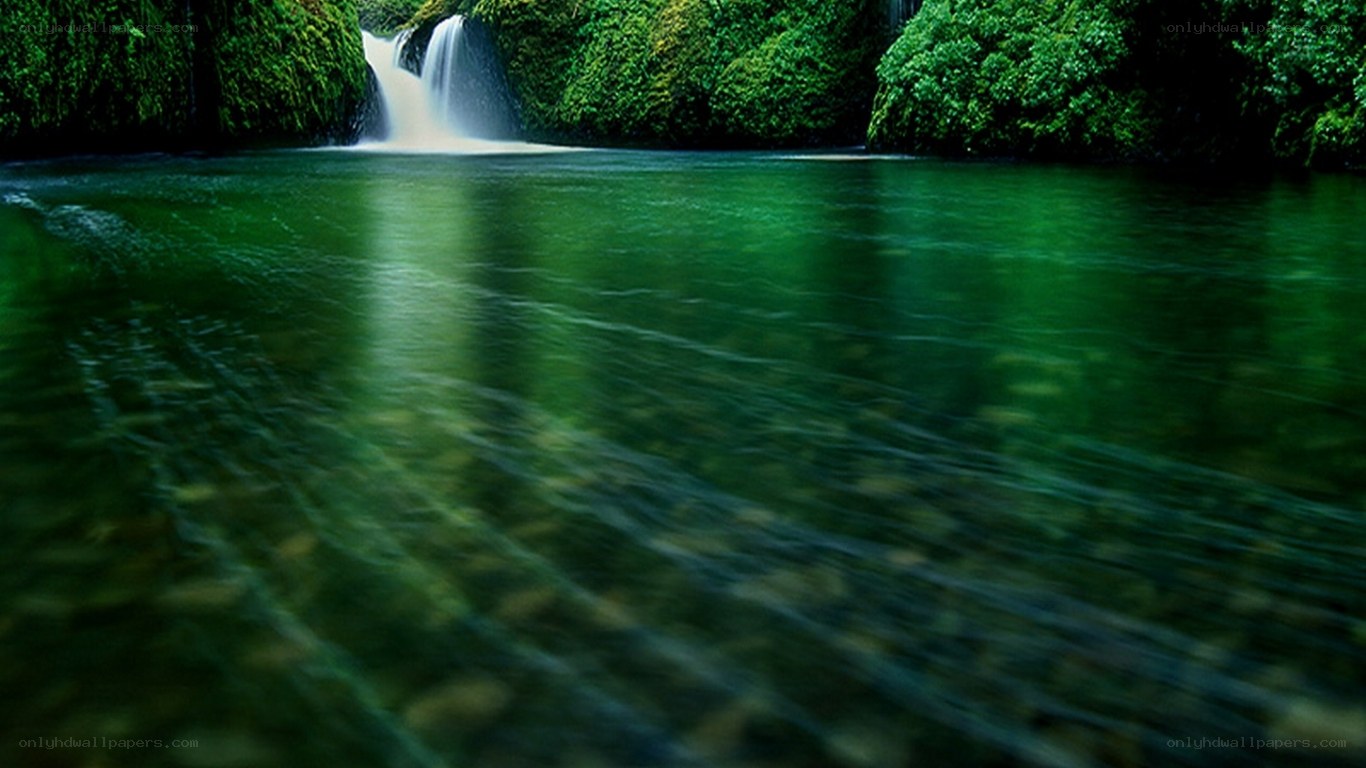 Waterfall in lush green forest