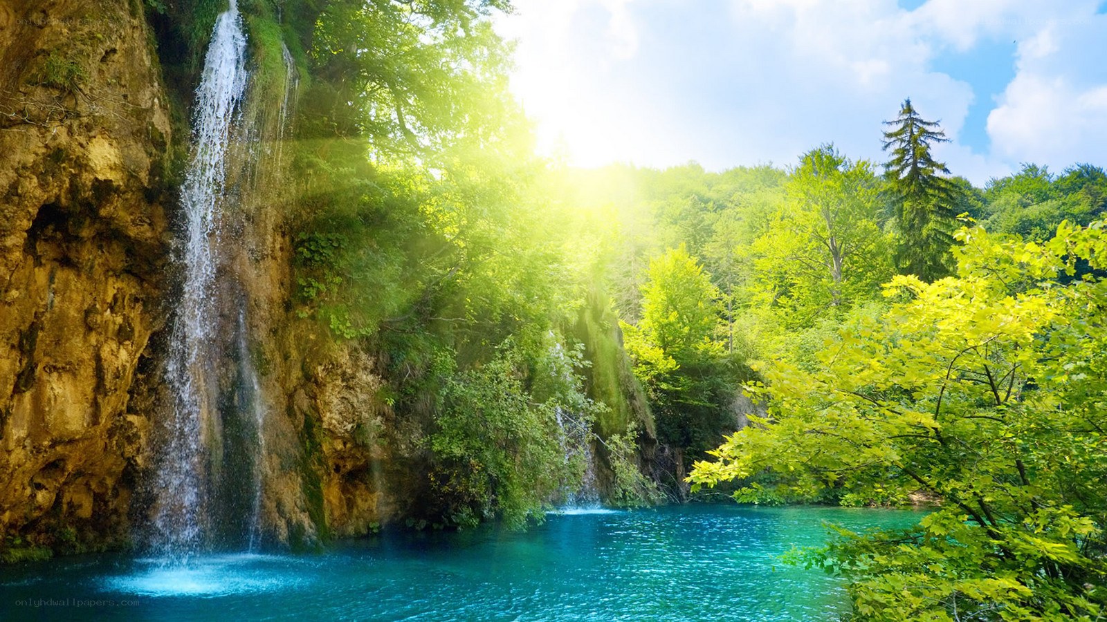 Waterfall in lush green forest