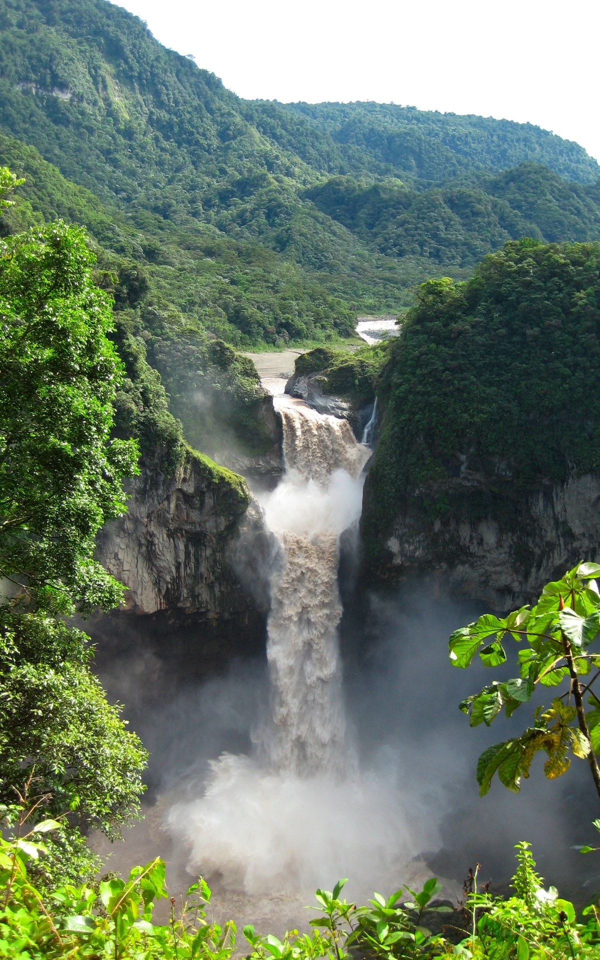 Waterfall in lush green forest