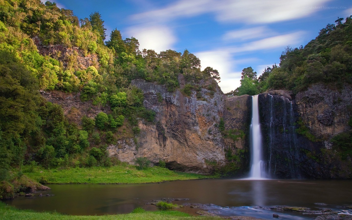 Waterfall in lush green forest
