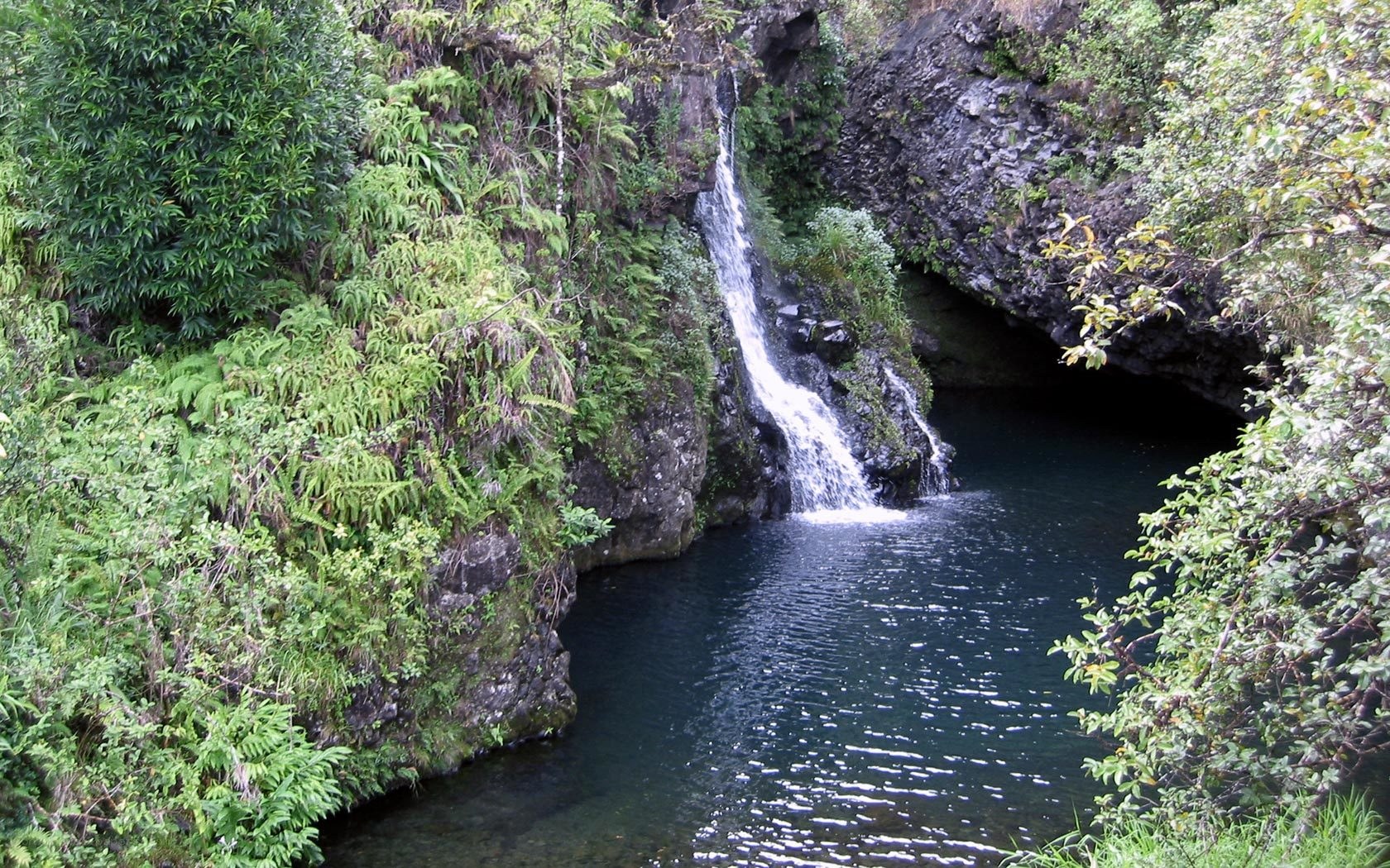 Waterfall in lush green forest