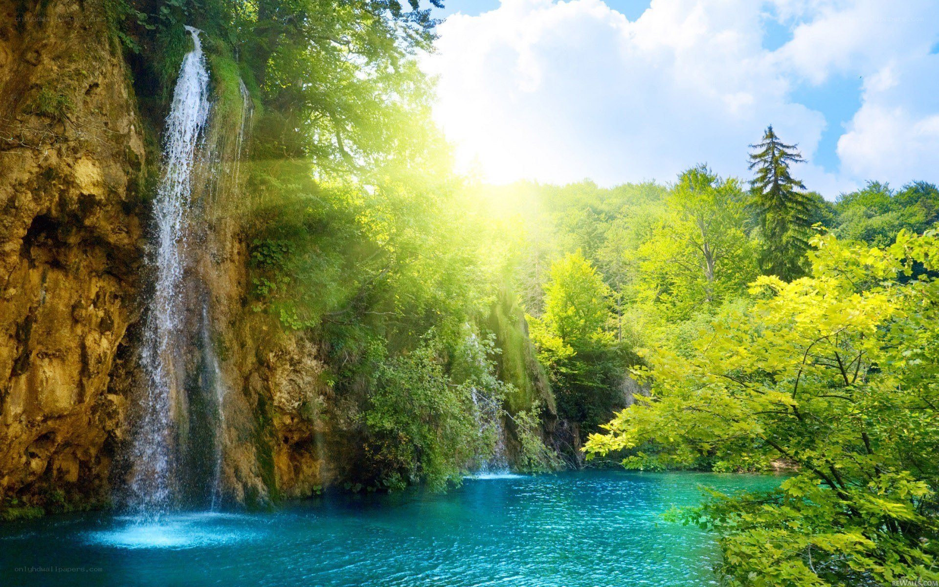 Waterfall in lush green forest