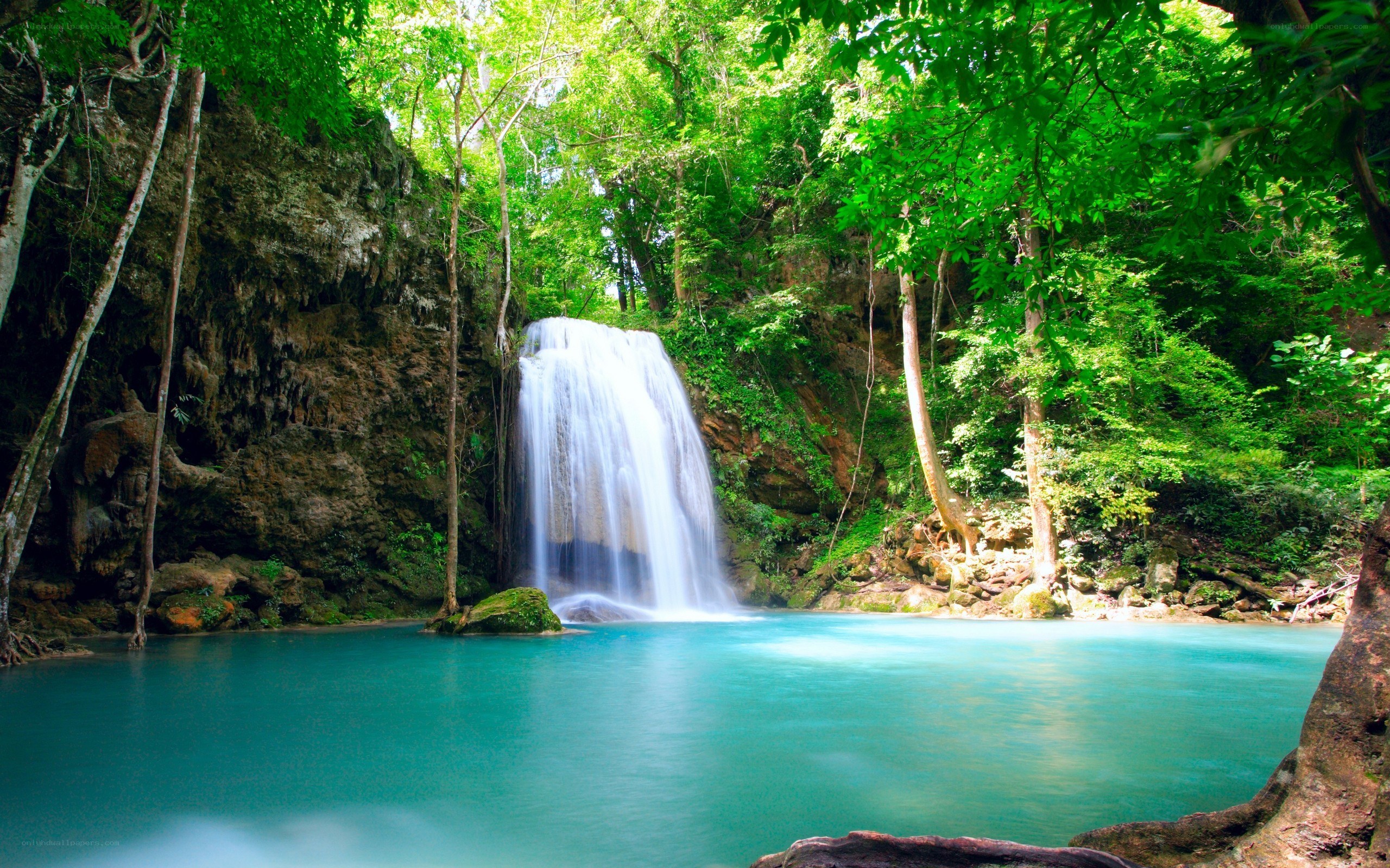 Waterfall in lush green forest