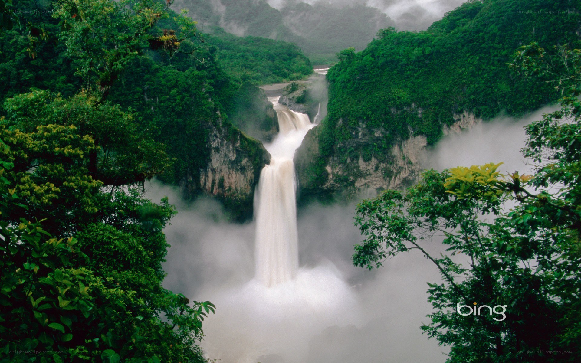 Waterfall in lush green forest