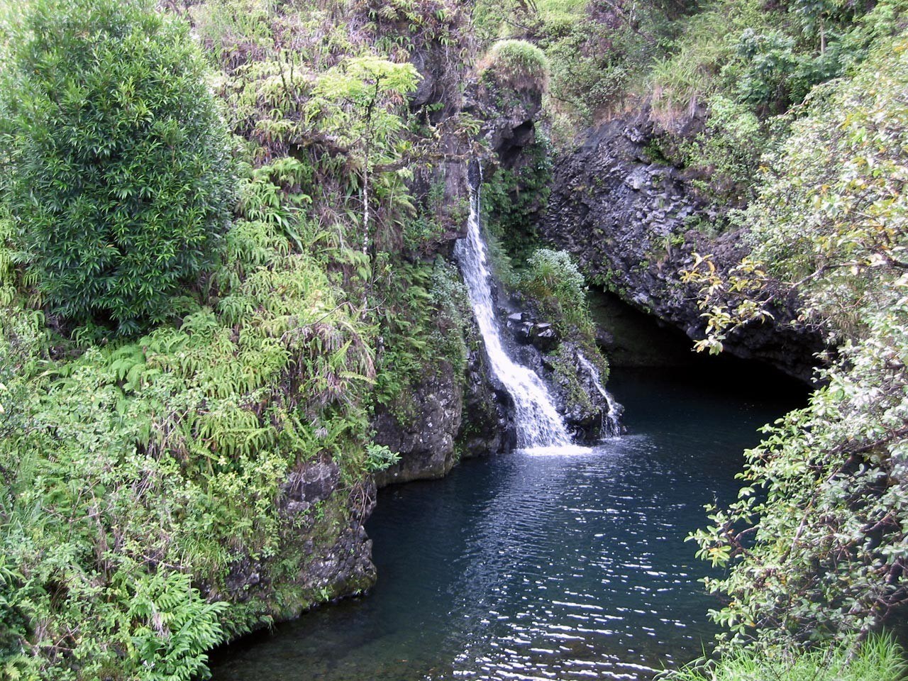 Waterfall in lush green forest