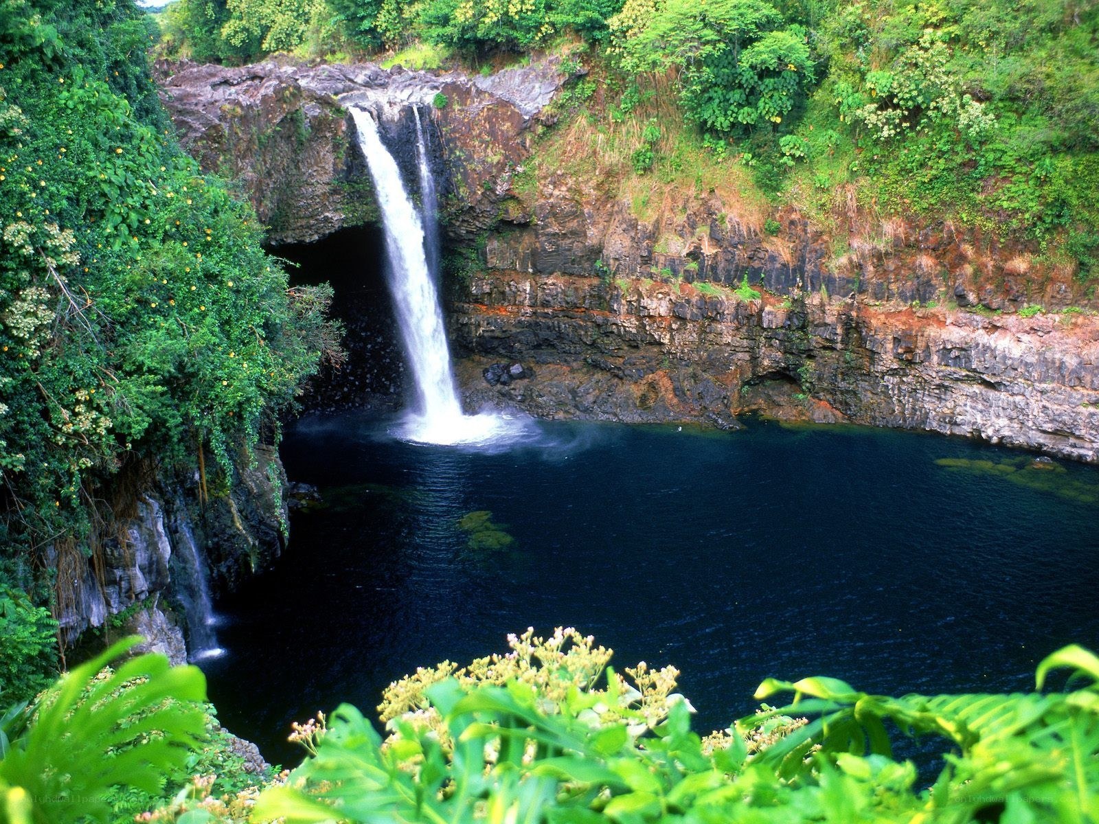 Waterfall in lush green forest