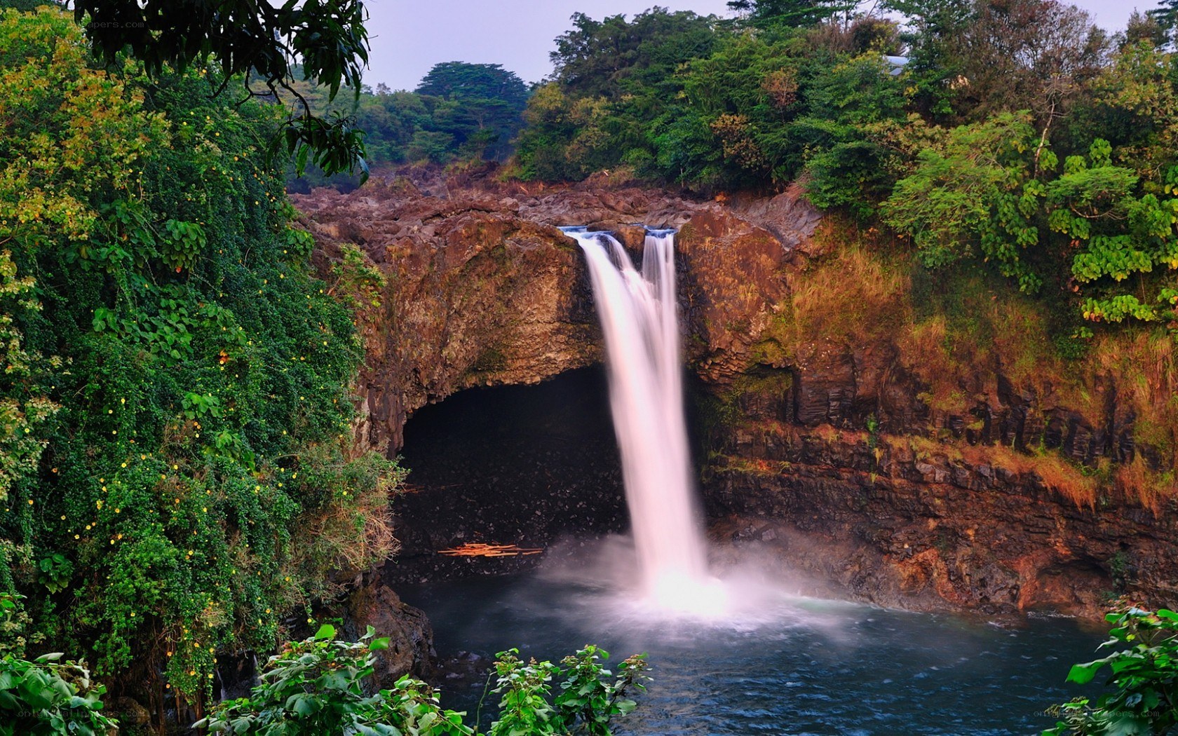 Waterfall in lush green forest