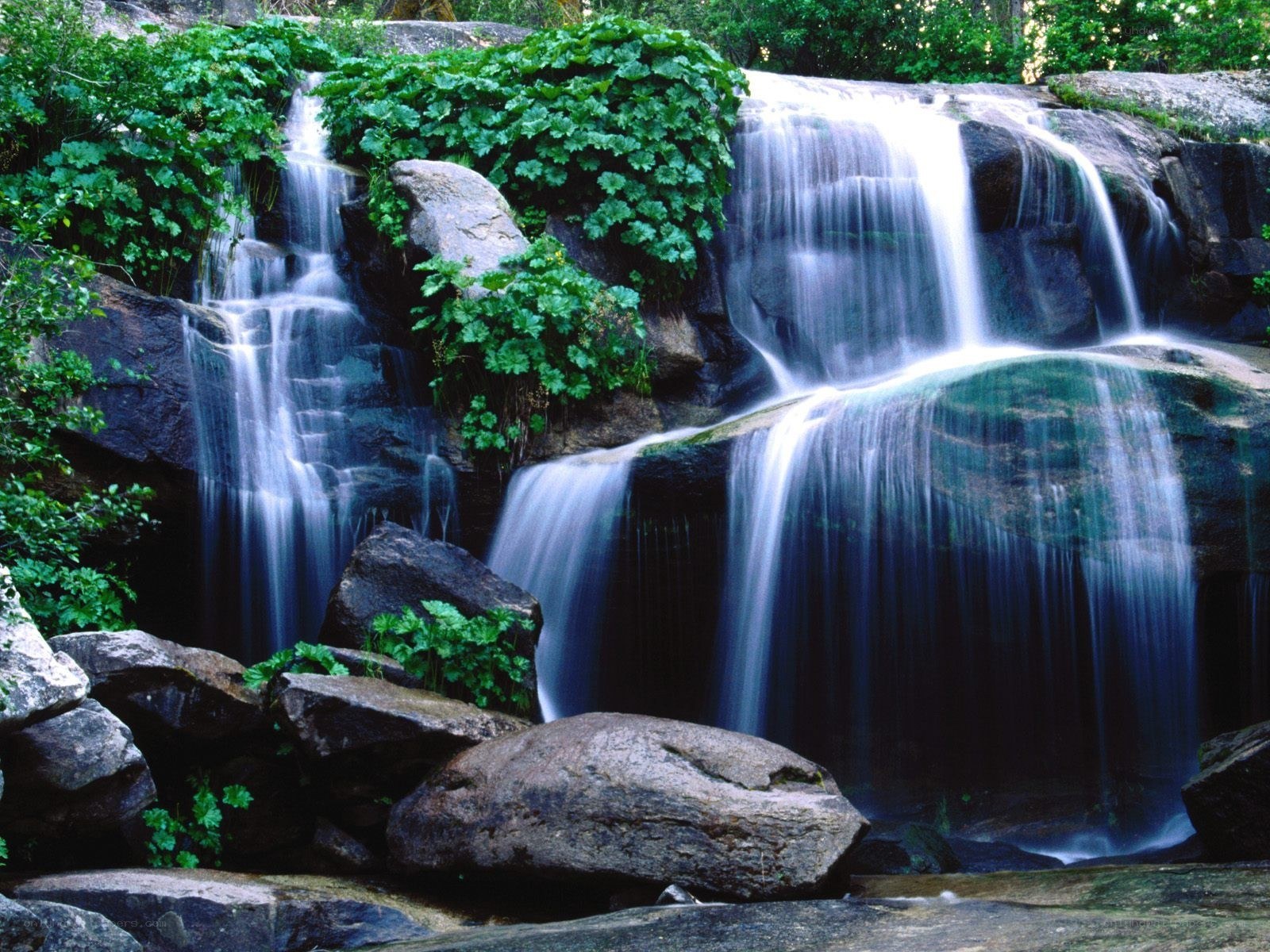 Waterfall in lush green forest