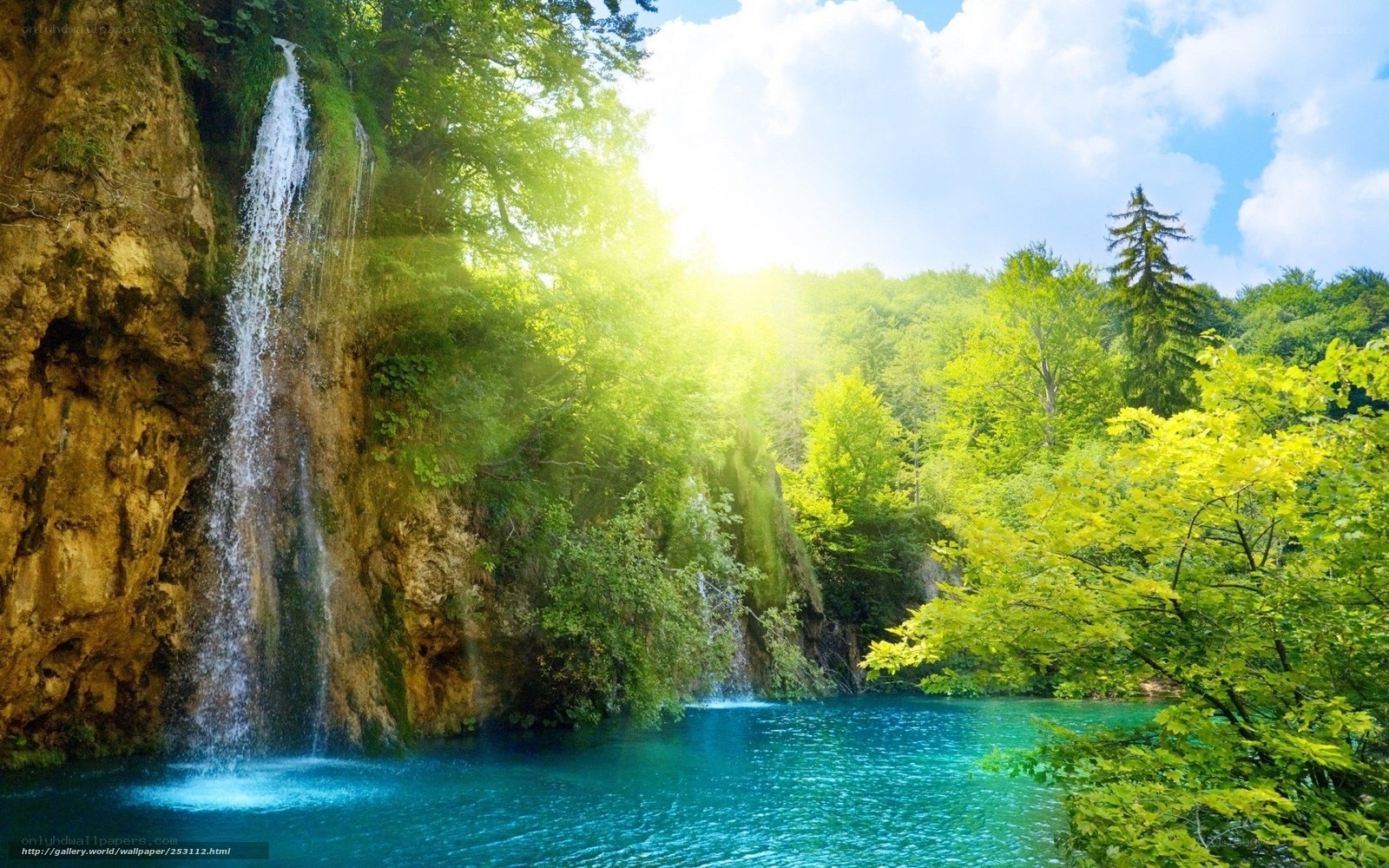 Waterfall in lush green forest