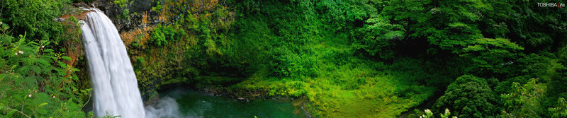 Waterfall in lush green forest