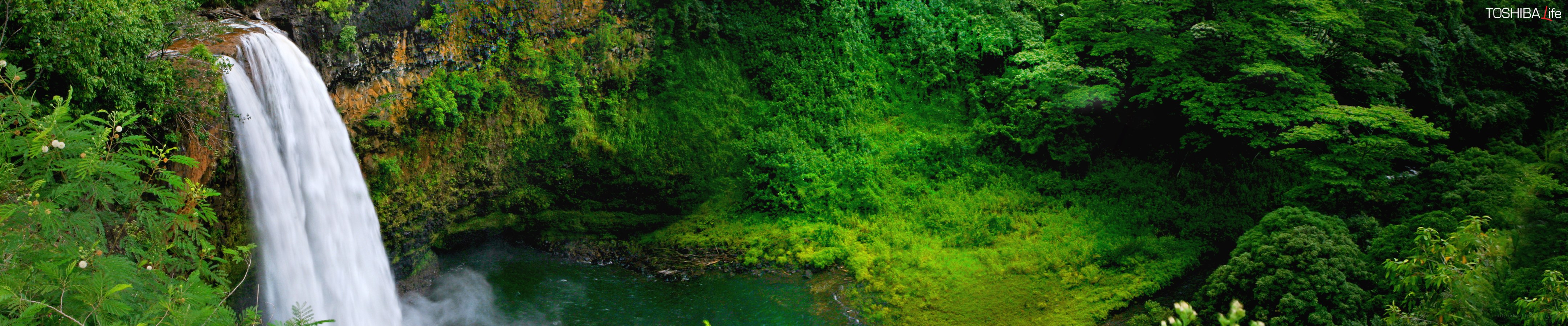 Waterfall in lush green forest