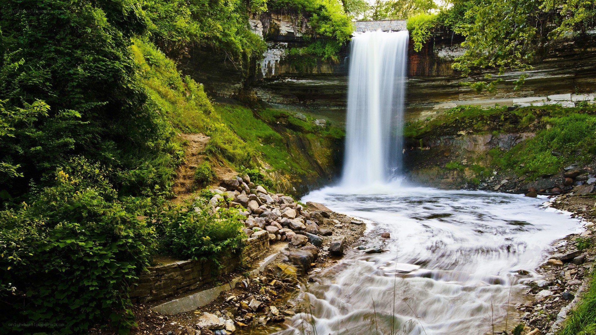 Waterfall in lush green forest