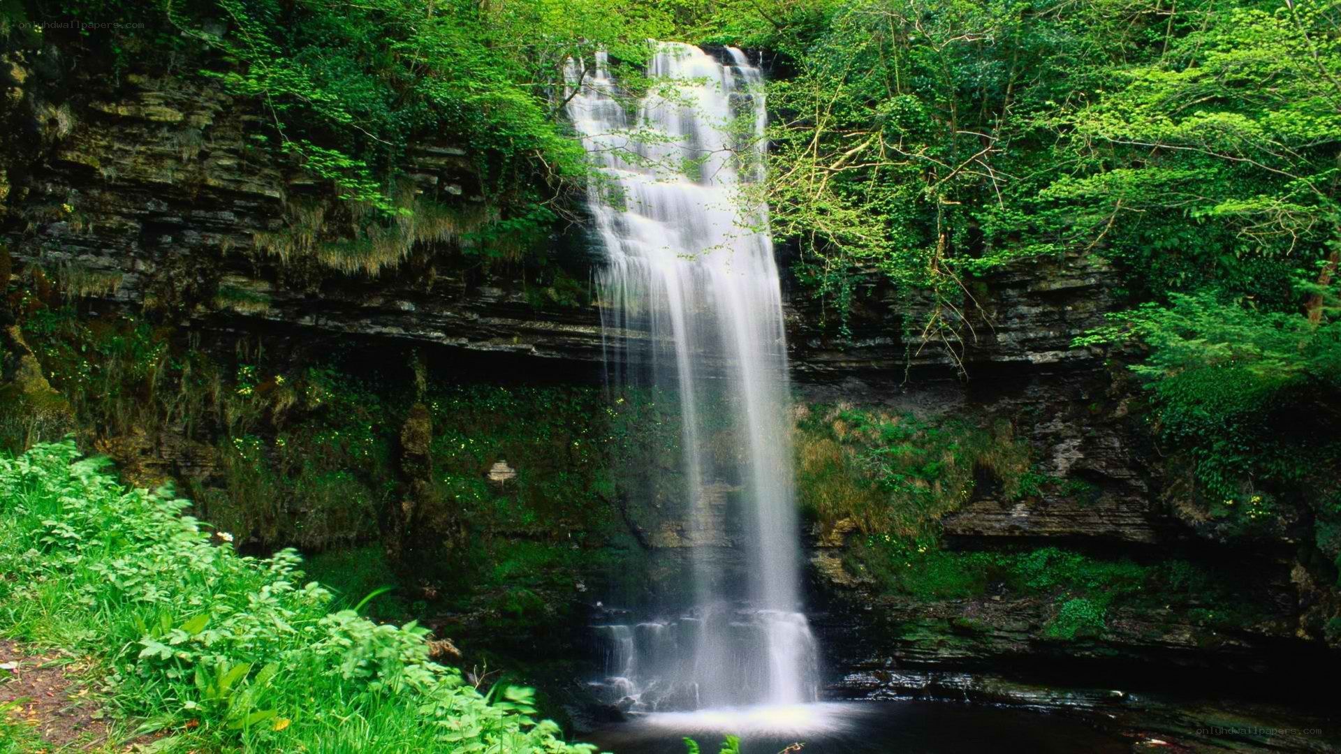 Waterfall in lush green forest