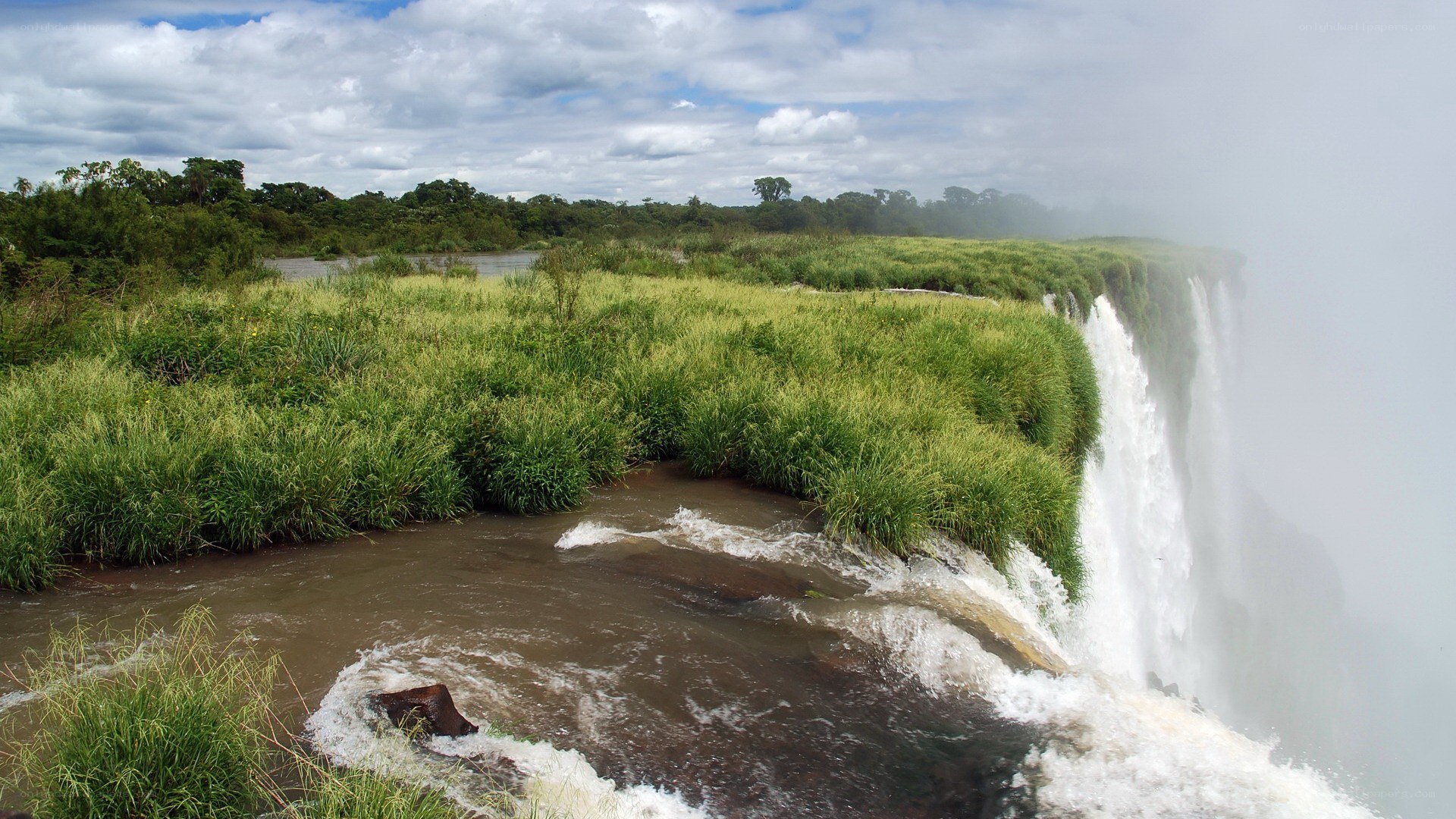 Waterfall in lush green landscape