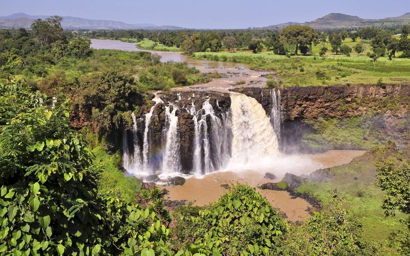 Waterfall in lush green landscape