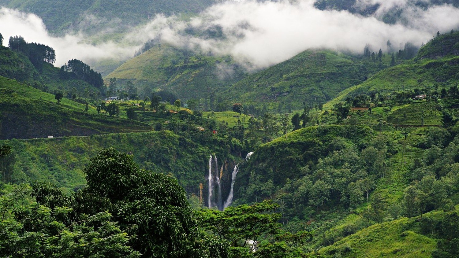 Waterfall in lush green mountains