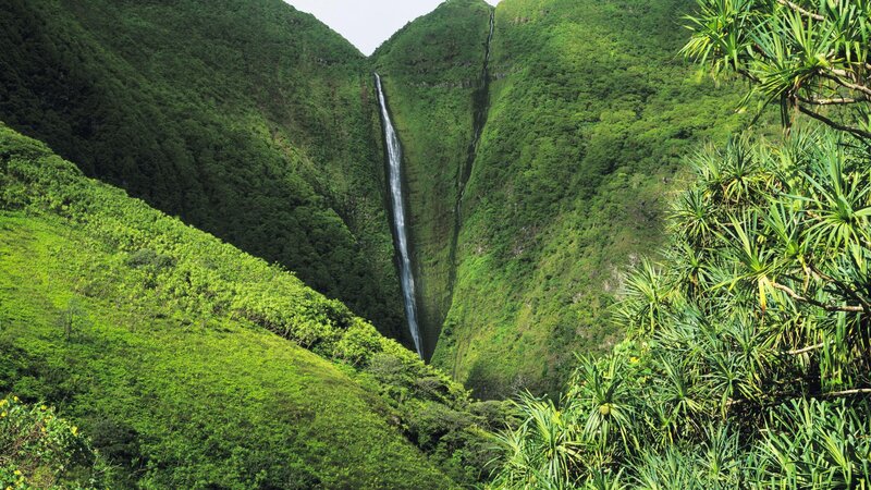 Waterfall in lush green valley