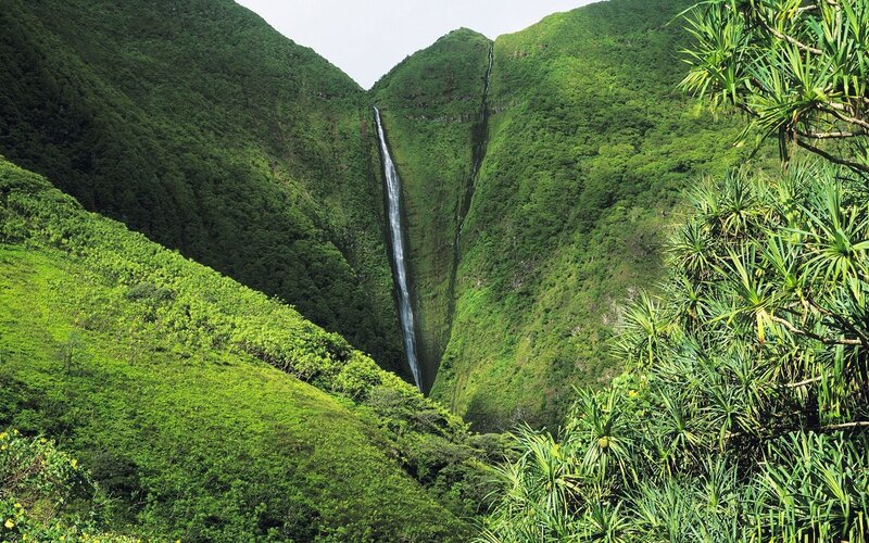 Waterfall in lush green valley
