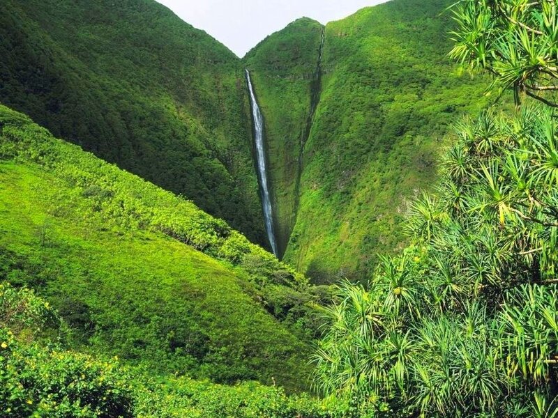Waterfall in lush green valley