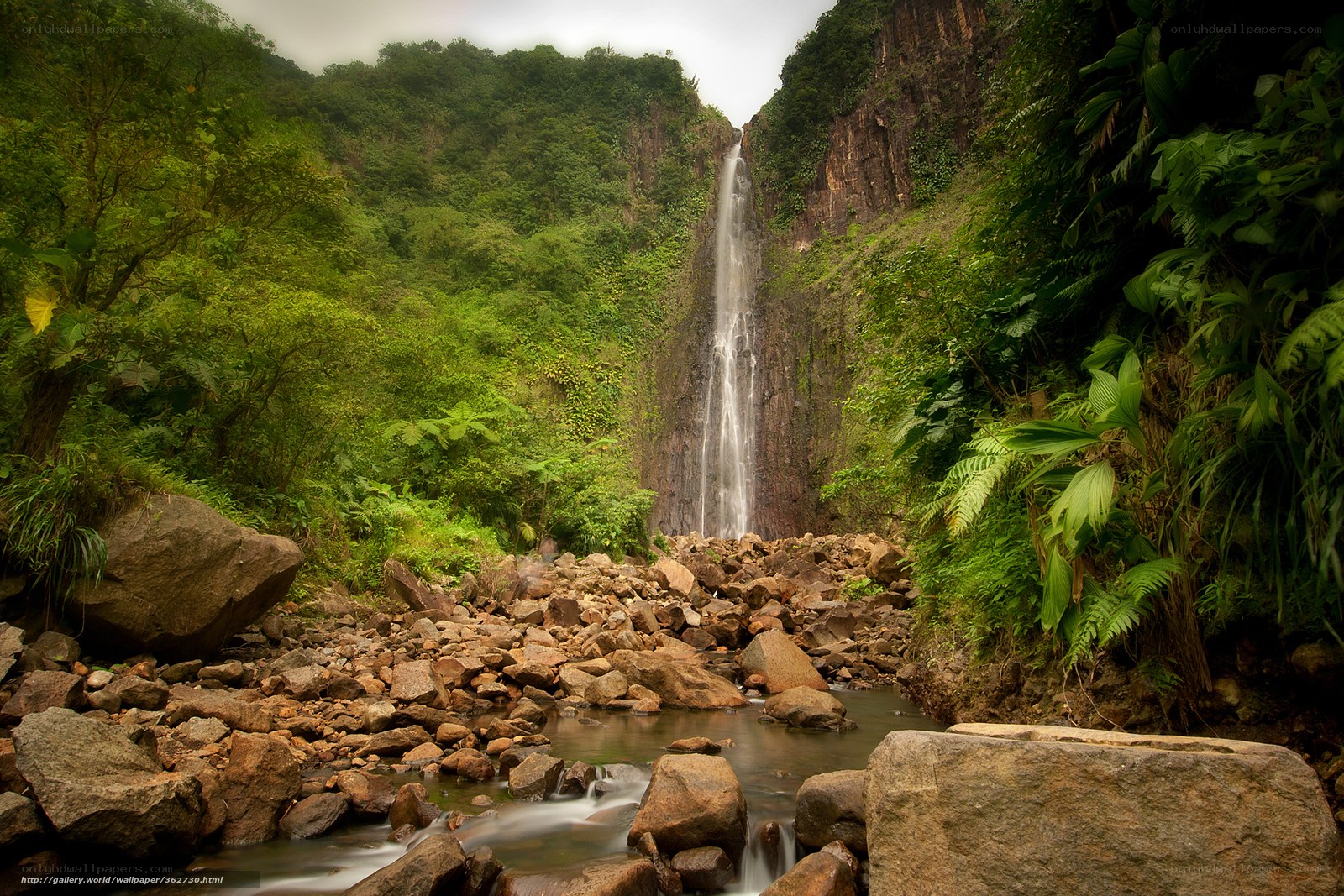 Waterfall in lush green valley