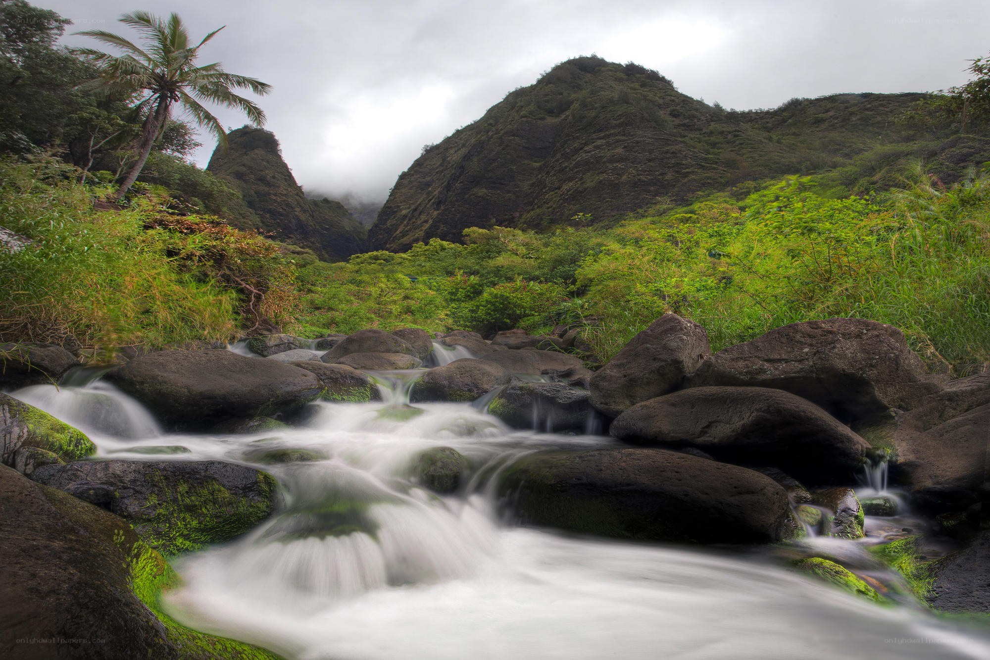 Waterfall in lush green valley