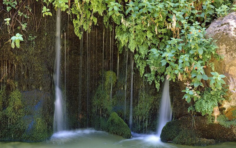 Waterfall in lush greenery