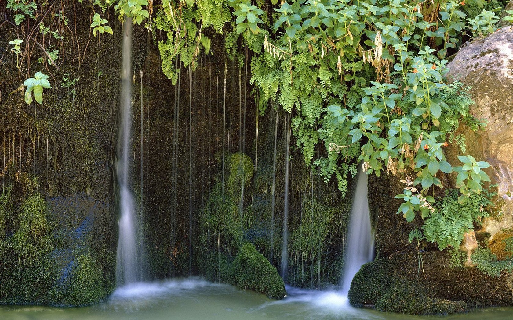 Waterfall in lush greenery