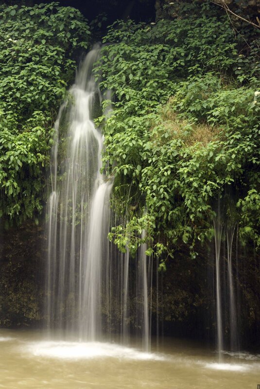Waterfall in lush greenery