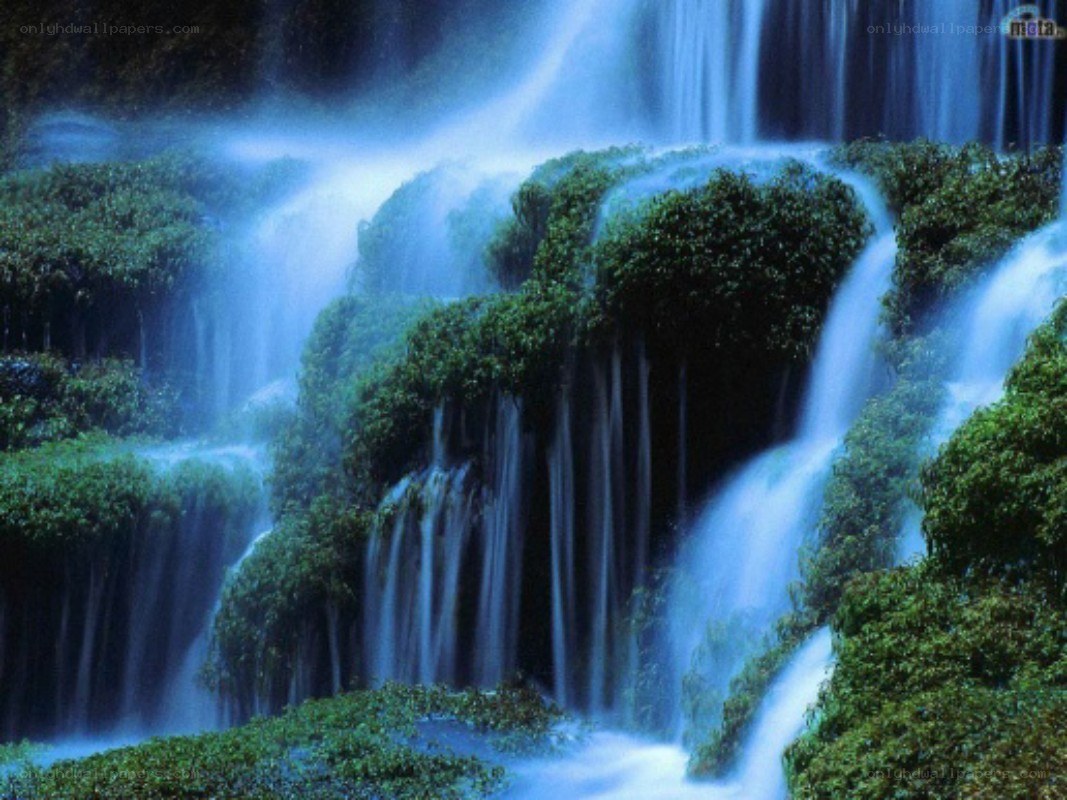 Waterfall in lush greenery