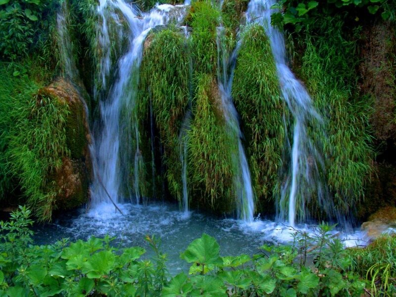 Waterfall in lush greenery