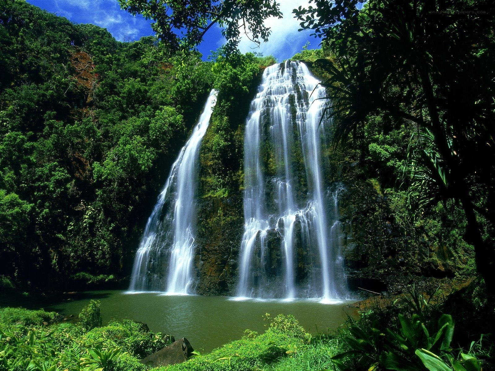 Waterfall in lush jungle