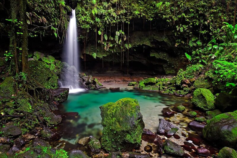 Waterfall in lush jungle