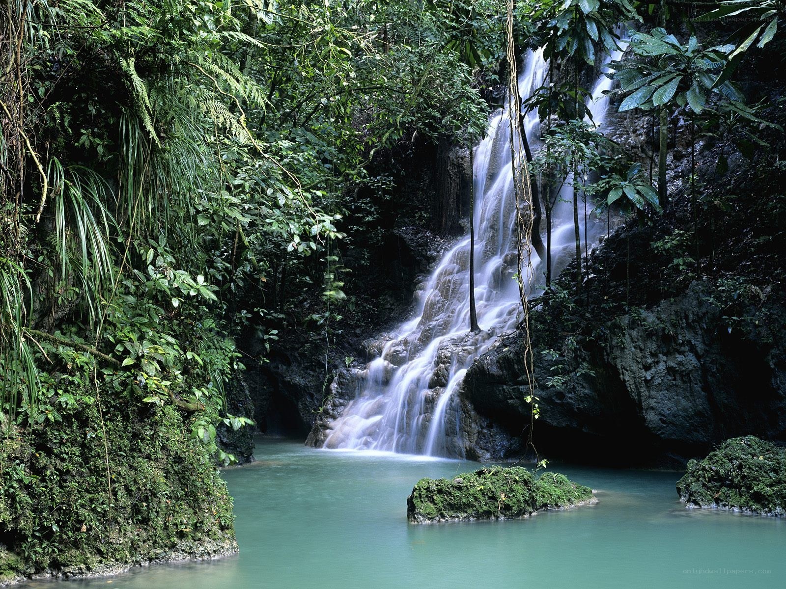 Waterfall in lush jungle