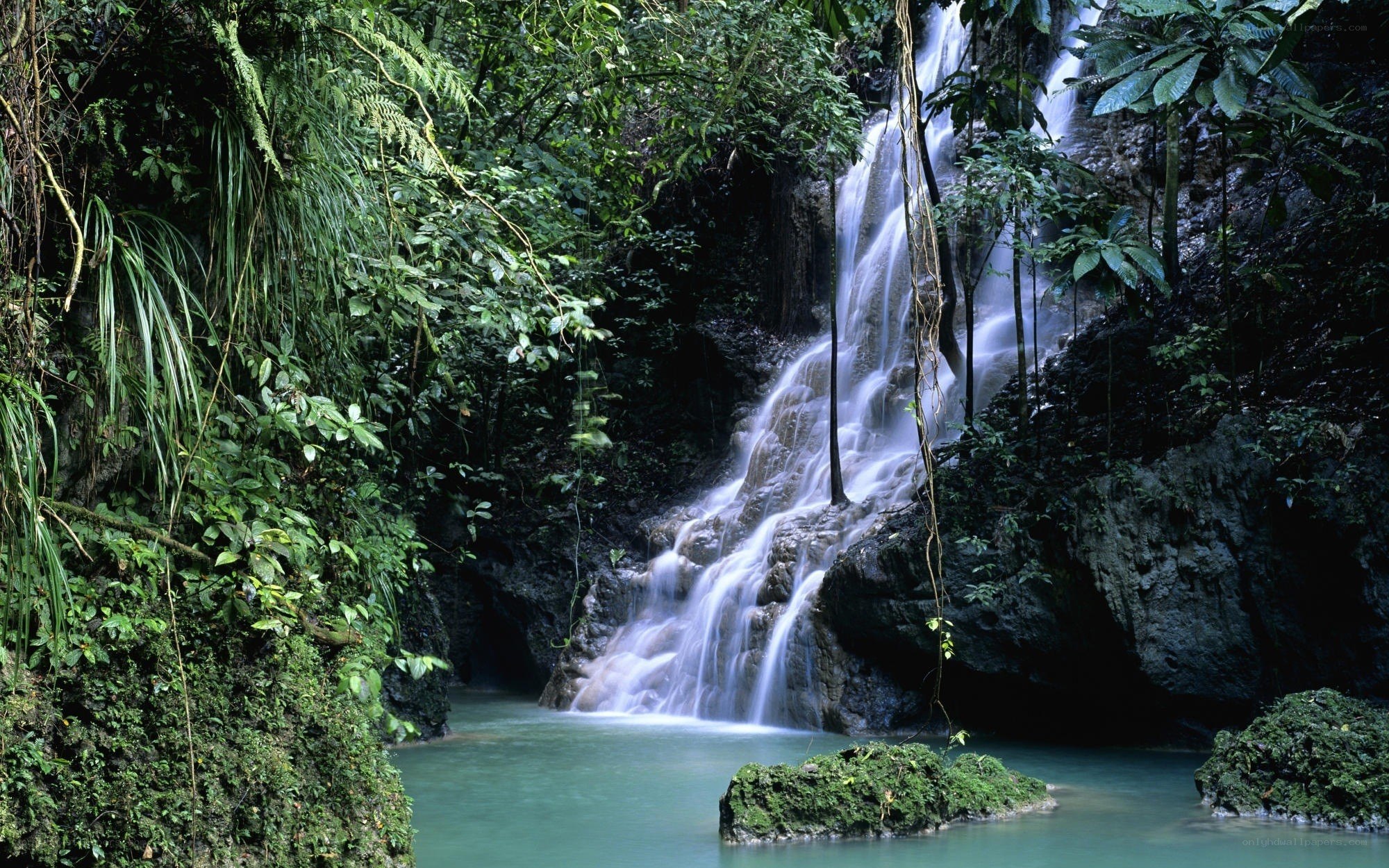 Waterfall in lush jungle