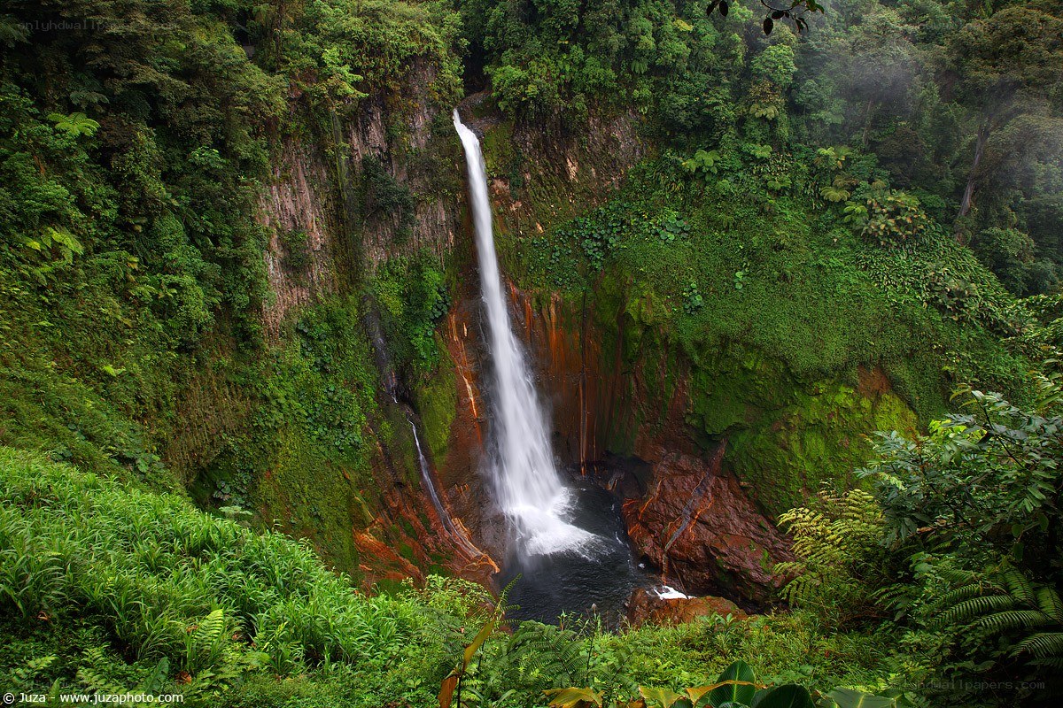 Waterfall in lush jungle