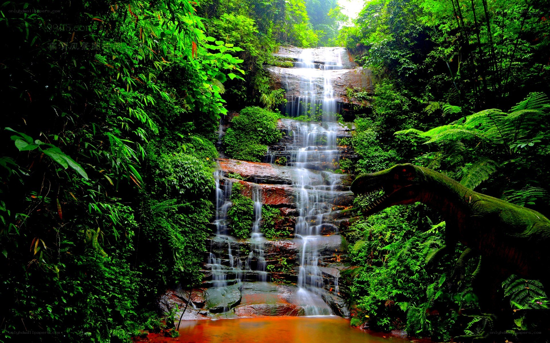 Waterfall in lush jungle
