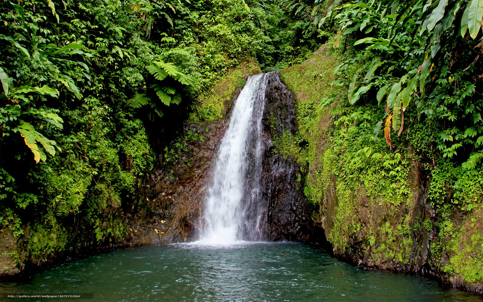 Waterfall in lush jungle