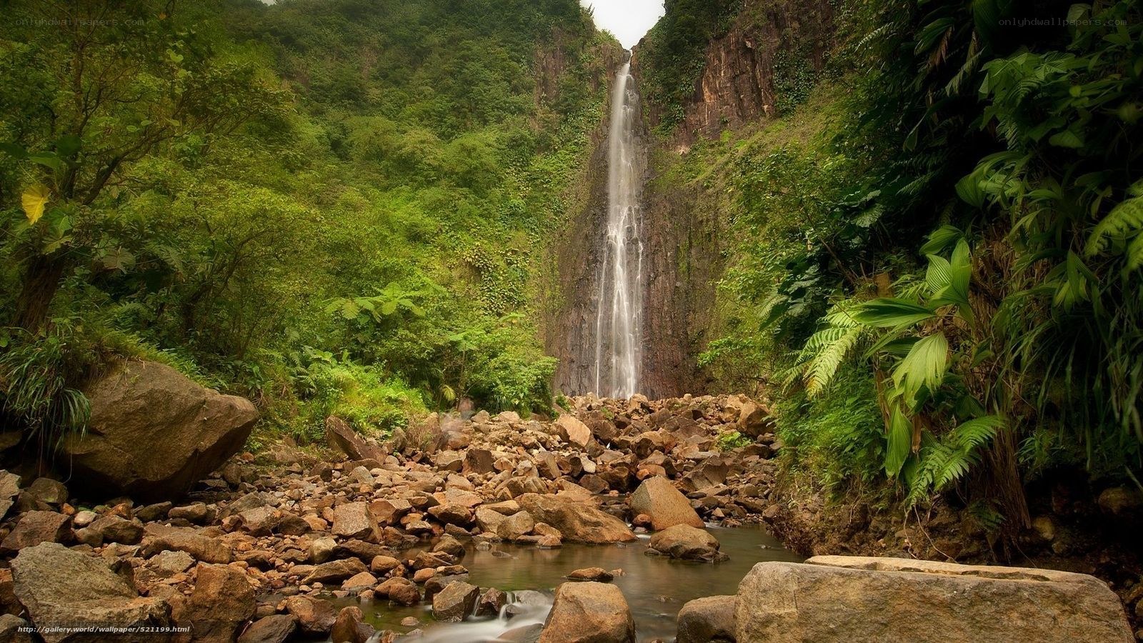 Waterfall in lush jungle