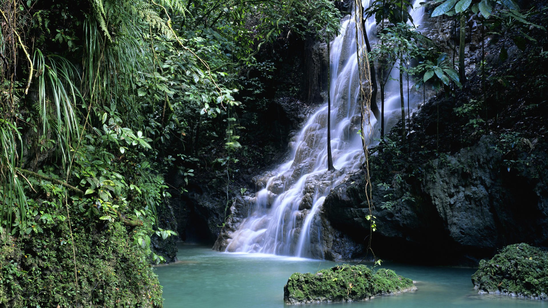Waterfall in lush jungle