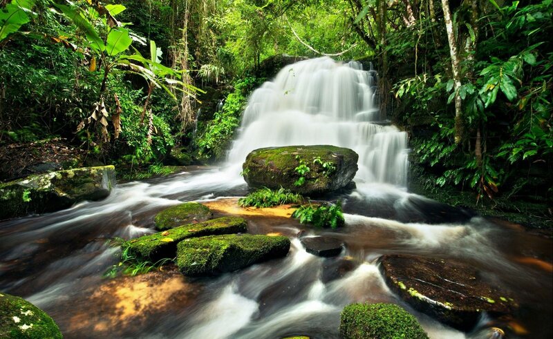 Waterfall in lush rainforest