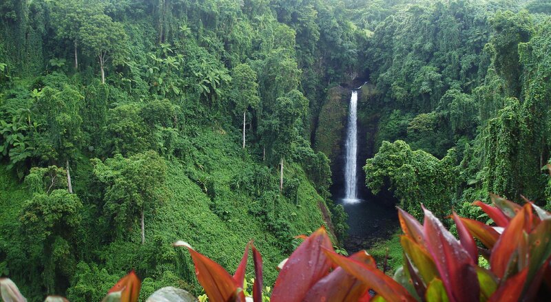 Waterfall in lush rainforest