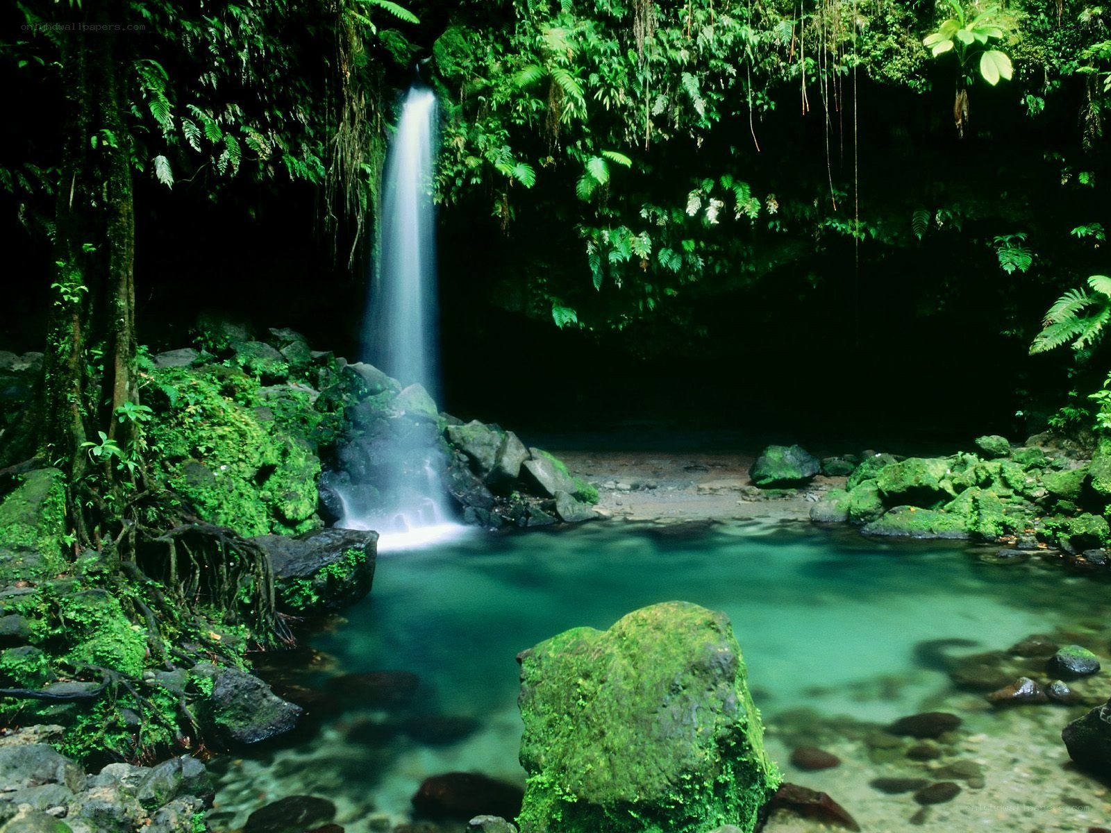 Waterfall in lush rainforest